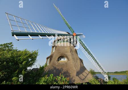 Ambiance du soir: Moulin 'Charlotte', réserve naturelle 'Geltinger Birk', Nieby, Schleswig-Holstein, Allemagne Banque D'Images