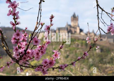 Cochem, Moselle, Allemagne Banque D'Images