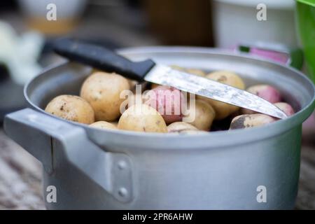 Casserole en acier inoxydable avec pommes de terre neuves crues et un couteau de cuisine. Pommes de terre non pelées. Gros plan de pommes de terre à la peau jaune et rouge. Épluchez les pommes de terre dans la cuisine sur une table rustique en bois. Banque D'Images