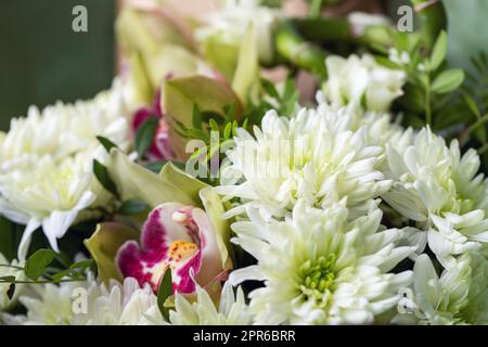 Gros plan de chrysanthèmes blancs empilés dans un bouquet. Banque D'Images