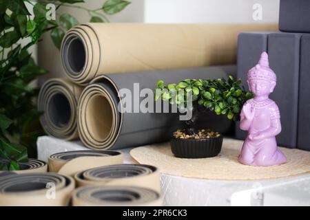 Plusieurs tapis en caoutchouc roulé pour le yoga ou la remise en forme en beige et gris et blocs de mousse pour le sport en studio. Banque D'Images