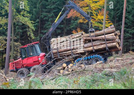 Un ouvrier forestier récupère les troncs d'arbres abattus de la forêt avec un véhicule spécial. Banque D'Images