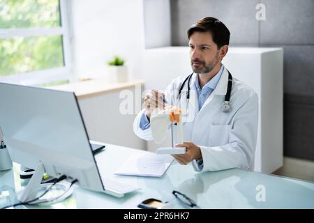 Médecin orthopédiste médecin montrant l'articulation squelettique Banque D'Images
