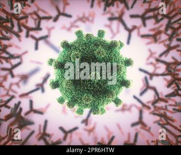 Système immunologique, anticorps attaquant le virus covid-19. Illustration 3D, concept du système de défense du corps. Anticorps en y attaquant le Banque D'Images