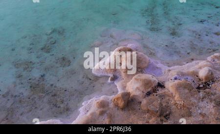 Un grand sel s'est accumulé sur les rives de la mer Morte. Dépôts de sels minéraux, paysage typique de la mer Morte. Sel sur la plage au lever du soleil. Banque D'Images