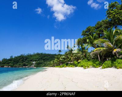 Seychelles, Mahé - Anse Gouverneur Banque D'Images