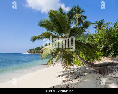 Seychelles, Mahé - Anse Gouverneur Banque D'Images