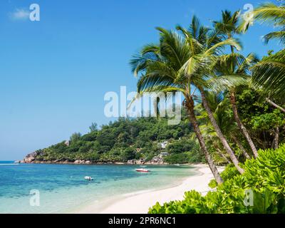 Seychelles, Mahé - Anse Gouverneur Banque D'Images