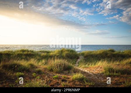 Une belle dunes de sable près de la plage au lever du soleil Banque D'Images