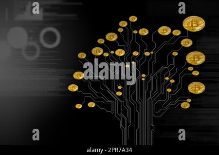 Développez votre patrimoine avec crypto. Image conceptuelle d'un bitcoin croissant sur une carte de circuit imprimé en forme d'arbre sur un fond sombre. Banque D'Images