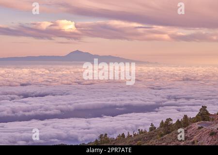 Ténérife est la plus grande des îles Canaries de Spains, au large de l'Afrique de l'Ouest. Il est dominé par Mt. Teide, un volcan dormant qui est le plus haut sommet de Spains. Ténérife est peut-être mieux connue pour son Carnaval de Santa Cruz, un énorme festival pré-Carent avec des défilés, de la musique, de la danse Banque D'Images