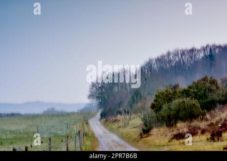 Une route dans une atmosphère brumeuse dans une ferme le matin d'été. Le paysage d'une route de terre à proximité de plantes vertes luxuriantes, herbe et arbres dans un après-midi de printemps brumeux avec l'espace de copie Banque D'Images