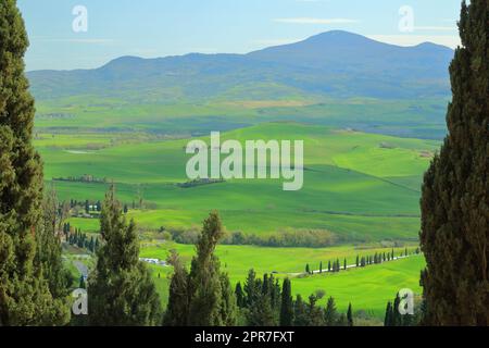 Panorama des collines verdoyantes toscanes contre le ciel bleu depuis les rues de la petite ville médiévale de Pienza, un après-midi d'avril. Banque D'Images