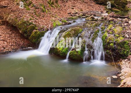 Belle cascade profondément dans les bois des montagnes Apuseni; belle gorge de Borzesti, une zone naturelle en Transylvanie Banque D'Images