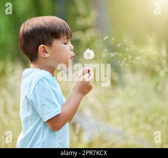 Envolez-vous. Un petit garçon soufflant sur un pissenlit dans la nature. Banque D'Images