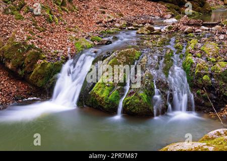 Cascade profondément dans les bois des montagnes Apuseni; belle gorge de Borzesti, une zone naturelle en Transylvanie Banque D'Images