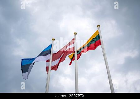 Drapeaux de l'Estonie, de la Lettonie et de la Lituanie Banque D'Images