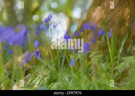 Peinture numérique de fleurs bleutées aux couleurs vives sur un fond boisé naturel, utilisant une faible profondeur de champ. Banque D'Images