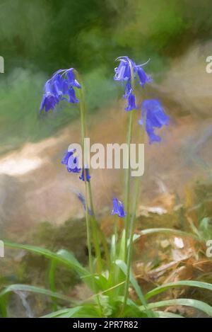 Peinture numérique de fleurs bleutées aux couleurs vives sur un fond boisé naturel, utilisant une faible profondeur de champ. Banque D'Images