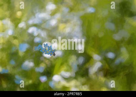 Peinture numérique de fleurs bleu illuminées de couleurs vives Forget-me-Not sur un fond boisé vert naturel, en utilisant une faible profondeur de champ. Banque D'Images
