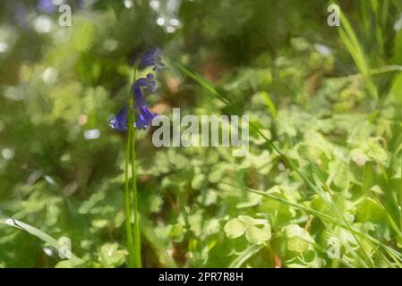 Peinture numérique de fleurs bleutées aux couleurs vives sur un fond boisé naturel, utilisant une faible profondeur de champ. Banque D'Images