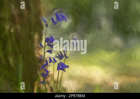 Peinture numérique de fleurs bleutées aux couleurs vives sur un fond boisé naturel, utilisant une faible profondeur de champ. Banque D'Images