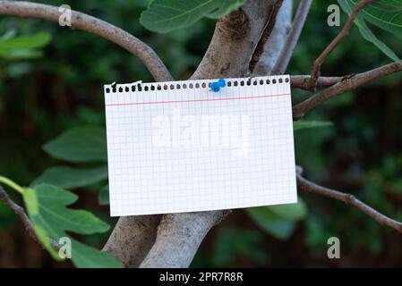 Feuille de bloc-notes avec des lignes de motif cochées épinglées à l'aide d'un pouce sur la branche de l'arbre dans la forêt. Papier vierge sur le bois représentant la nature et la promotion de bannière d'affaires. Banque D'Images