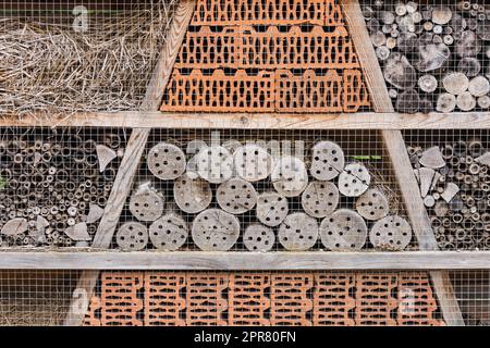 grande maison d'abeilles dans le détail de la nature Banque D'Images