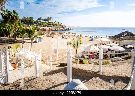 Un paradis tropical vous attend sur la plage Playa del Duque, vue depuis la promenade Calle el Mirador, avec des palmiers et une atmosphère idyllique. Banque D'Images