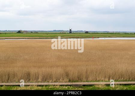 vue sur les marais depuis le château de burg vers le moulin à vent des bras de berney Banque D'Images