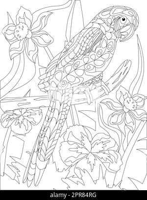 Page de coloriage avec perroquet sur pied avec différentes fleurs en arrière-plan. Banque D'Images