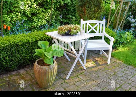 Chaise de patio et table carrée avec beaucoup de plantes dans un jardin. Mobilier d'extérieur pour se détendre en été tout en jardin de fleurs. Plantes en pots dans une petite cour pavée avec herbe verte et arbres Banque D'Images