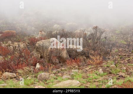 Gros plan d'une montagne couverte de smog avec de l'air fumé épais et un espace de copie. Paysage endommagé et brûlé de collines rocheuses et de brume. Feux de forêt détruisant, propageant et causant des dommages à l'environnement Banque D'Images