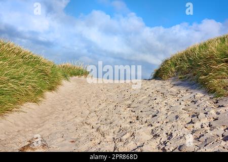 Gros plan d'un sentier de sable avec de l'herbe verte luxuriante qui pousse sur la plage de la côte ouest de Jutland, Danemark. Beau ciel bleu lors d'une chaude journée d'été sur une dune de sable sèche située sur une baie côtière Banque D'Images