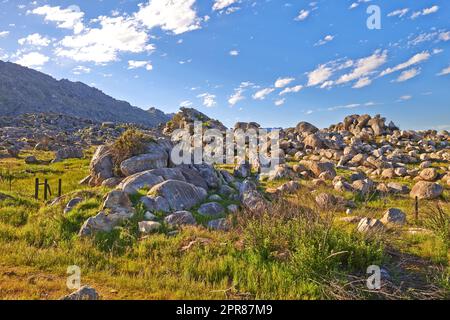 Rochers et rochers dans un terrain de randonnée accidenté et non cultivé sur Table Mountain, le Cap, Afrique du Sud. Arbustes et arbustes verts luxuriants qui poussent parmi la flore et les plantes dans une réserve naturelle tranquille et à l'étranger Banque D'Images