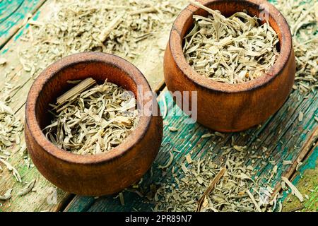 Bois de millepertuis ou moût séché Banque D'Images
