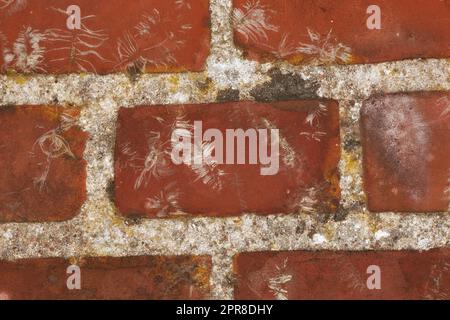 Gros plan d'un mur de briques rouges sur la surface extérieure rustique d'une maison, maison ou bâtiment de ville. Texture, détail de l'architecture brute conception de la face de brique sur une ancienne structure en décomposition Banque D'Images