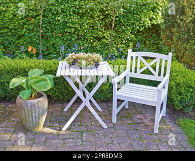 Chaise et table en bois blanc dans un jardin verdoyant avec plantes en fleurs et espace d'imitation. Paysage tranquille pour se détendre et profiter d'un pique-nique confortable en été. Patio extérieur dans une cour calme et isolée Banque D'Images