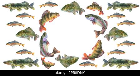 Illustration aquarelle, composition des poissons, perchaude, brochet, poisson croquant, carpe, animal grisant isolé sur fond blanc. Banque D'Images