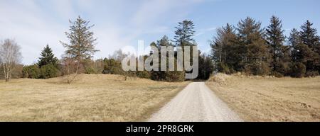 CopySpace avec un chemin serpentant à travers les prairies sèches dans la nature à Kattegat, Jutland, Danemark sur fond bleu ciel. Paysage pittoresque d'une route de gravier menant à une forêt dans une plaine de prairie ouverte Banque D'Images