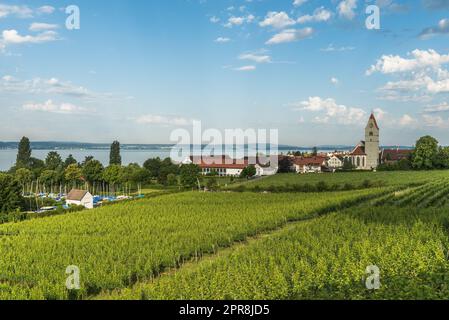 Église catholique et vignobles, Hagnau, Lac de Constance, Bade-Wurtemberg, Allemagne Banque D'Images