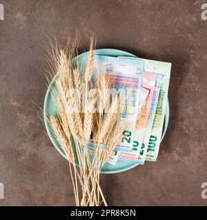 Assiette avec des billets de blé et d'euros, pénurie alimentaire et augmentation des prix, pauvreté par l'inflation Banque D'Images