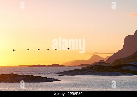 Beau paysage d'une montagne près de la mer pendant le coucher du soleil avec l'espace de copie. Vue panoramique sur l'océan avec lumière du soleil jaune doré au lever du soleil et dans l'espace publicitaire. Baie côtière paisible avec vol d'oiseaux Banque D'Images