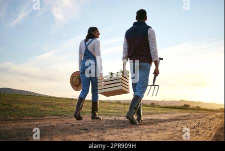 Deux agriculteurs transportant un panier de légumes ensemble. Un jeune homme et une jeune femme marchant avec des produits frais biologiques sur une route de terre Banque D'Images