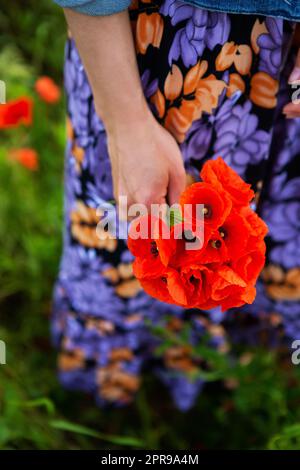 Une jeune fille tient un bouquet de beaux coquelicots rouges dans sa main. Gros plan. Jour d'été, vacances, repos. Banque D'Images