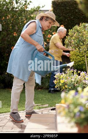 Arrosez-moi, je me développe mal pour vous. Un couple de personnes âgées qui arrosent des plantes dans leur arrière-cour. Banque D'Images