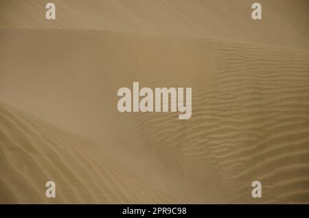 Dunes de sable dans la réserve naturelle spéciale des dunes de Maspalomas. Banque D'Images