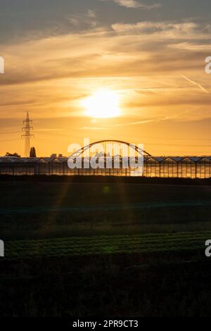 Coucher de soleil doré sur les silhouettes de serre avec pont et tour d'électricité pour l'énergie solaire dans les affaires agricoles sur la campagne idyllique et le paysage rural montre serres de verre des légumes sains Banque D'Images