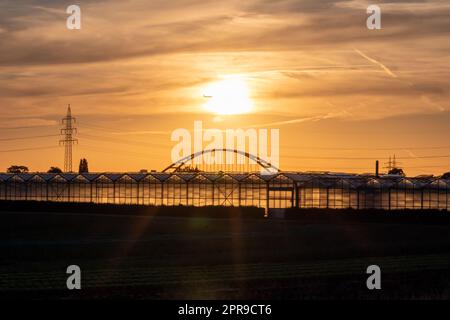 Coucher de soleil doré sur les silhouettes de serre avec pont et tour d'électricité pour l'énergie solaire dans les affaires agricoles sur la campagne idyllique et le paysage rural montre serres de verre des légumes sains Banque D'Images