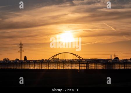 Coucher de soleil doré sur les silhouettes de serre avec pont et tour d'électricité pour l'énergie solaire dans les affaires agricoles sur la campagne idyllique et le paysage rural montre serres de verre des légumes sains Banque D'Images